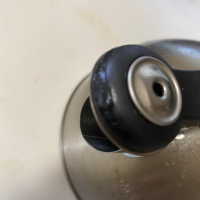 Teiera, bollitore da tè a fischio, in acciaio inox, con manico