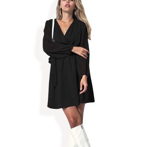 Anna-Kaci Women's V-Neck Long Sleeve Mini Dress with Sheer Dotted Sleeves and Waist Tie Detail - 1 of 4