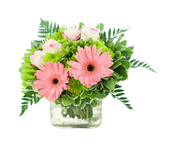 KaBloom Sweet Pea Gerbera Fresh Flower Arrangement - with Vase