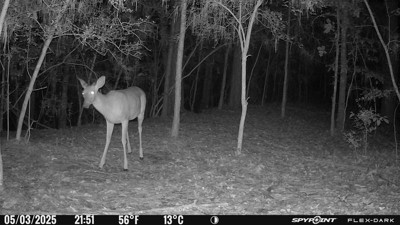 Guest review image 1 of 5, zoom in