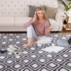 Machine Washable Rug Soft Fluffy Shaggy Area Rug Non Slip Ultra Soft Fluffy Indoor Floor Carpet for Living Room Bedroom Nursery - 4 of 4