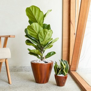 Okak Vertical ABS Planter Pots with Holes Orchid & Succulent Planters for Indoor/Outdoor, 2 Pack(S+M),4 Colors - 1 of 4