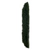 Vickerman Deluxe Sequoia Pine Wreath - 3 of 4