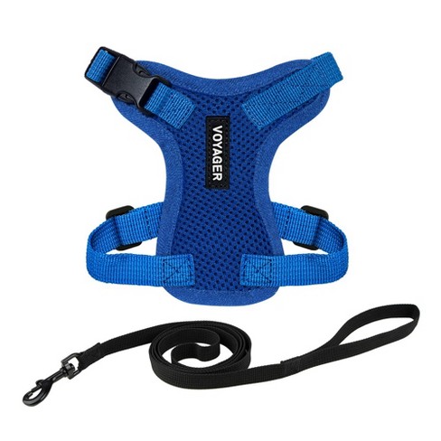 Step in Lock Adjustable Cat Harness W. Cat Leash Combo Set With Neoprene Handle 5ft Small Medium And Large Breed Cats Royal Blue S Target