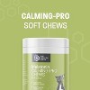Pet Health Pros Dog Calming Treats; Anxiety Relief; Ginger, Melatonin; Stressful Situations; 60 Count; Natural Flavor - 3 of 4
