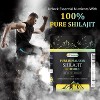 Best Naturals Pure Himalayan Shilajit Gummies - 60 ct - Made with Ashwagandha, Black Musli, and Gokshura - 3 of 4