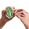 I Dig It! Dinos - Glow-in-the-Dark Dino Egg (24-pc Display) - 3 of 3