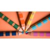 eeBoo: Otters at Play Jumbo Double-Sided Color Pencils Set of 6 - 3 of 4