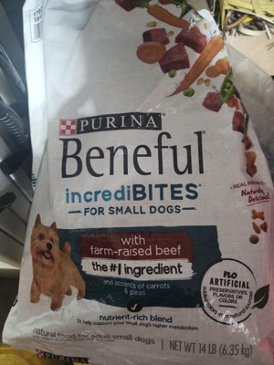 Purina Beneful Incredibites Small Bite Real Beef Flavor Dry Dog