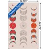 Trends International Floral Phases of the Moon Unframed Wall Poster Prints - 3 of 4