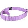 Country Brook Petz Martingale Heavyduty Nylon Dog Collar and Double Handle Leash - 4 of 4