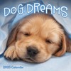 TF Publishing 13.5"x14.5" 2026 Dog Dreams Wall Calendar - 2 of 4