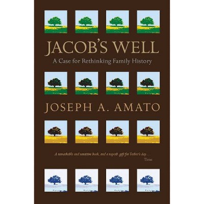 Jacob's Well - by  Joseph A Amato (Paperback)