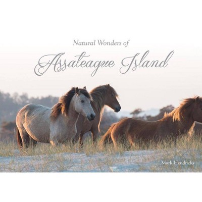 Natural Wonders of Assateague Island - by  Mark Hendricks (Hardcover)