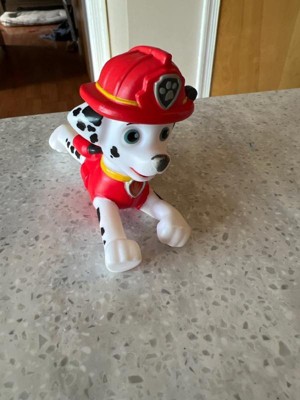 Paw Patrol Squeeze Flashlight Marshall : Target