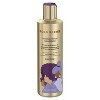 Gold Series from Pantene Moisture Boost Shampoo with Argan Oil for Curly, Coily Hair - 9.1 fl oz - image 4 of 4