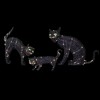 Northlight Set of 3 LED Lighted Black Cat Family Outdoor Halloween Decorations 27.5" - 3 of 4