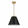 Elk Home Vellus 1 - Light Pendant in  Matte Black - 3 of 3