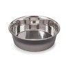Proselect Grooming Tools ProSelect Stainless Steel Ombre Bowl Large - 2 of 3