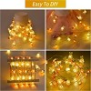 1 Roll Of Bunny Carrot String Lights Battery Operated, Easter Decor Spring Rabbit Fairy Lights For Home Indoor Easter Basket Eggs Party Seasonal - 3 of 4