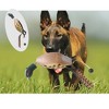 Duck Dog Toy, Training Dummy Retrieving Dog Toy Duck Bumper Retriever, Pheasant Dog Toy, Dog Training Toy for Small, Medium and Large Dogs - 3 of 4