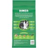 IAMS Proactive Health Chicken and Whole Grain Flavor Minichunks Dry Dog Food - 2 of 4