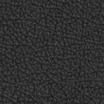 west virginia mountaineers