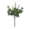 Melrose Mixed Eucalyptus Bundle (Set of 6) - 2 of 2