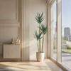 Nasitip 6FT Artificial Tree,Faux Agave Plant With 3 Trunks, Faux Plant In Pot With Lifelike Leaves Bark, for Home Office Decor - 3 of 4