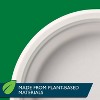 Hefty EcoSave Molded Fiber Paper 10 1/8" Plates - 16ct - image 2 of 4