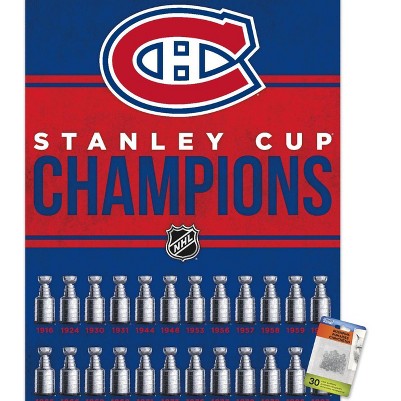 clear push pins bundle