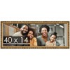 PosterPalooza | 40x14 Wood Antique Frame with UV Acrylic, 4 Finishes: Bronze, Gold, Silver, and Black - 2 of 4