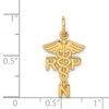 Black Bow Jewelry 14k Yellow Gold RPN Caduceus Charm - 4 of 4
