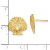Black Bow Jewelry 13mm Scalloped Shell Post Earrings in 14k Yellow Gold - 4 of 4