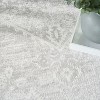 Nourison Astra Machine Washable Back to College Persian Vintage Indoor Flatweave Rug - 3 of 4
