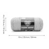 Red Heart Super Saver Yarn 3/Pack-Frosty Green - 4 of 4