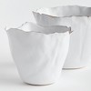 Plum & Post Maribella Cachepot Planters Set of 2 - 2 of 4