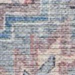 blue/multi