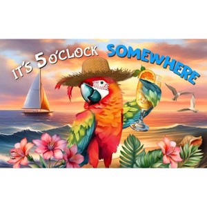 Briarwood Lane Summer Doormat 30x18 Indoor Outdoor Sunset Parrot For Summer Doormat - 1 of 4