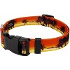 Country Brook Petz Deluxe Caribbean Sunset Dog Collar and Leash - image 2 of 4