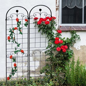2 Pack Metal Garden Trellis, Rose Climbing Trellis 86'' X 40'' Rustproof Plant Support Rose Trellis Netting Trellis, Flower Trellis-Cuddlewood - 1 of 4