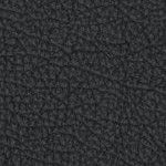 tampa bay buccaneers