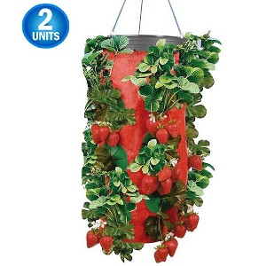 5 Star Super Deals 2 Vertical Strawberry & Herb Gardening Grow Bag Planter - Upside Down Herb Planter - 1 of 4