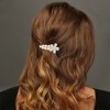 Unique Bargains Exquisite Hair Clips 1 Pc - 2 of 4