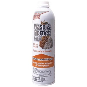 Bonide REVENGE Wasp and Hornet Killer Foam 15 oz (Case of 12) - 1 of 1
