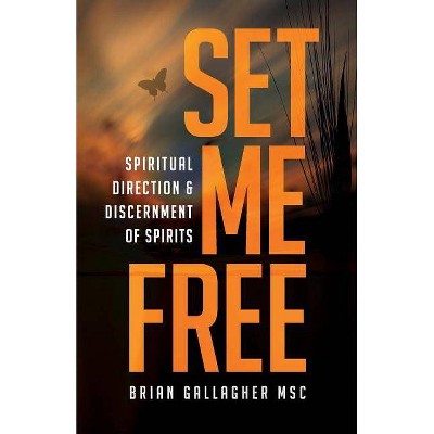 Set Me Free - by  Brian Gallagher (Paperback)