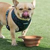 Silicone folding bowl dog automatic feeder outdoor travel portable dog food bowl pet supplies - 2 of 4