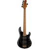 Ernie Ball Music Man StingRay5 Special HH 5-String Electric Bass Guitar - 3 of 4