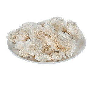 Vickerman 1-3" Natural Botanicals Assorted Natural Dried Sola Flower Head - 1 of 4