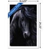 Trends International Laurie Prindle - The Black Framed Wall Poster Prints - 3 of 4